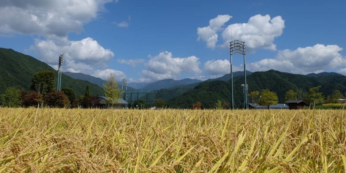 株式会社まんま農場様 導入事例
