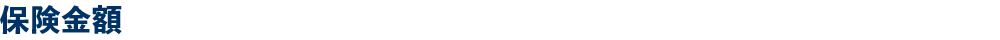 保険金額