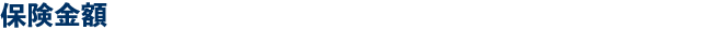 保険金額